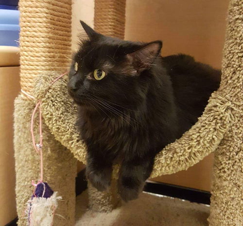 Salem