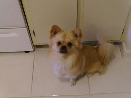 Bailey