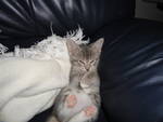 Zoe