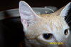 Jerry