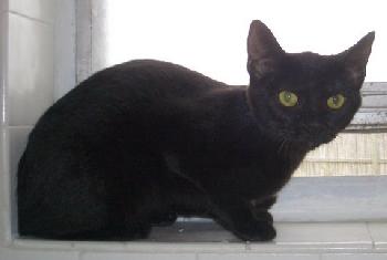 Salem