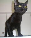Salem