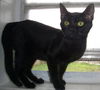 Salem