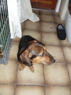 Coco