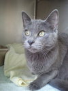 Toby