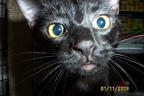 Andy