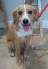 Benson