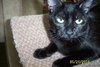 Trudi