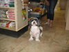 Tootie