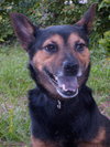 Benjy