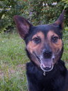 Benjy