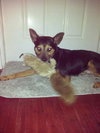 Benjy