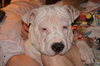 Trudy (now Lily)