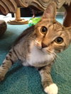 Tom