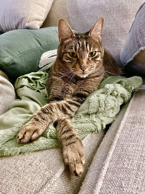 Caesar