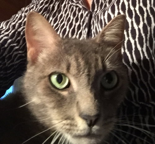 Julian