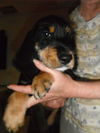 Baxter