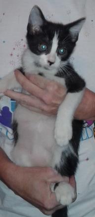 Tux