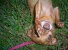 Thelma