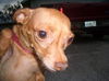 Thelma
