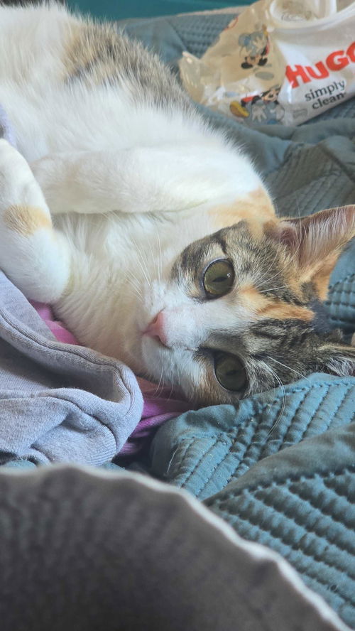 Tina