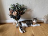 Tina - Photo 6