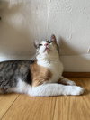 Tina - Photo 7
