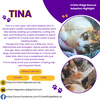 Tina - Photo 8