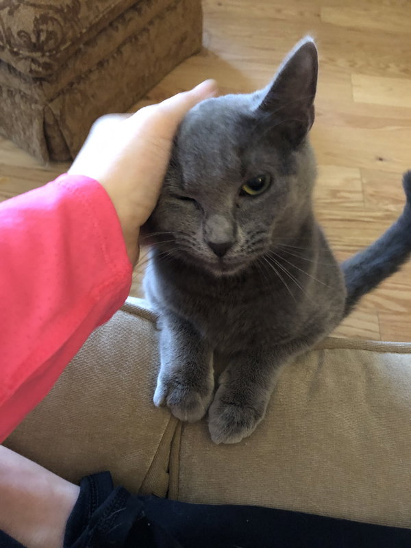 Arwen