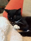 Wednesday - Photo 3