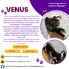 Venus - Photo 4