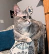 Princess