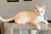 Catlyn