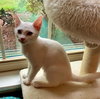 Catlyn