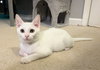 Catlyn