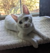 Catlyn
