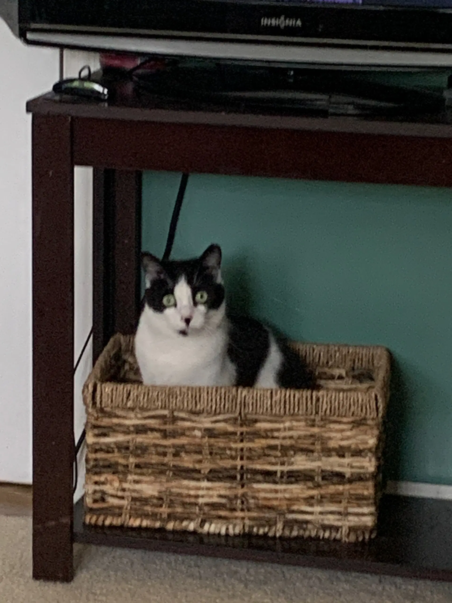 Cindy image 3