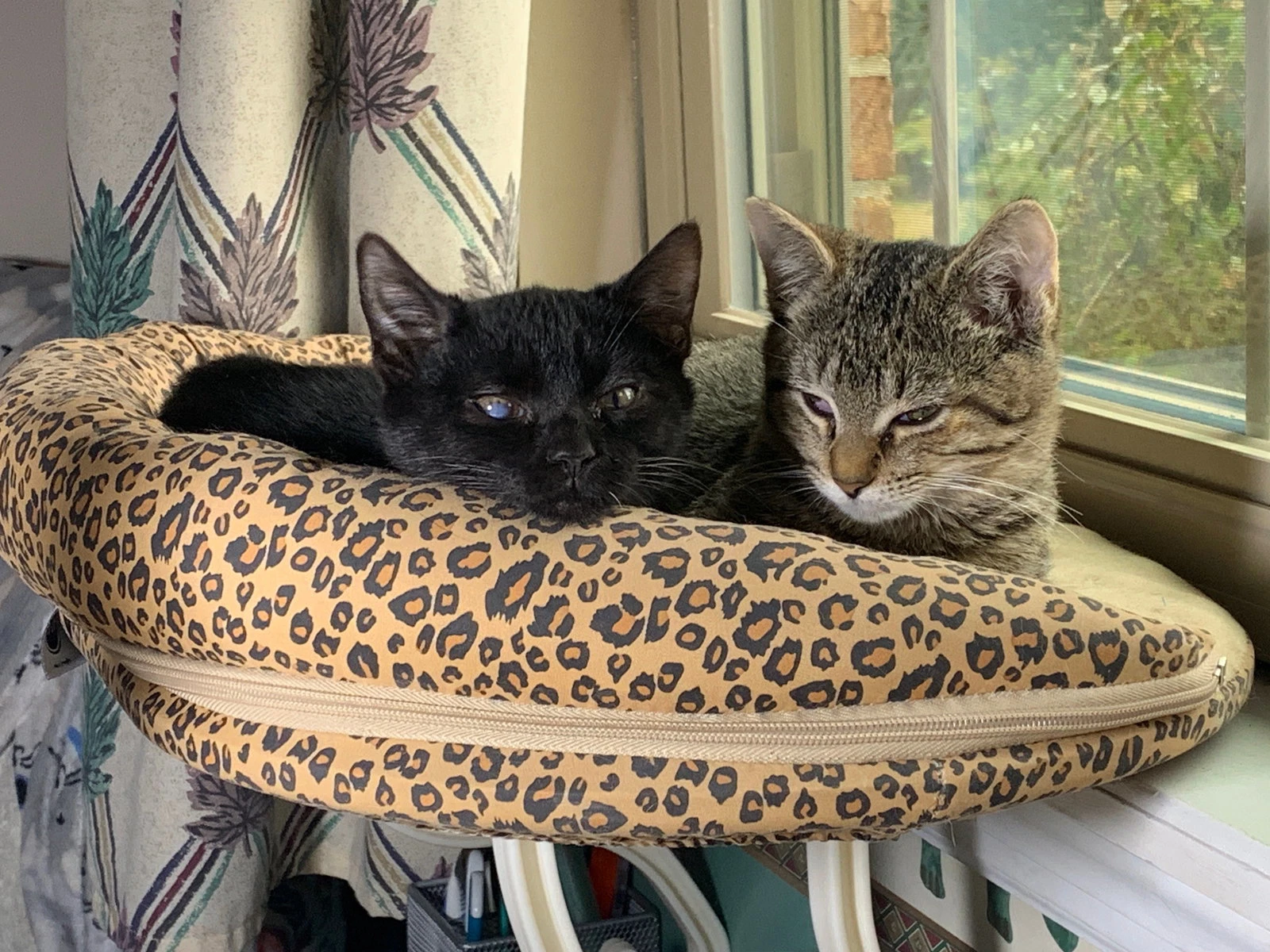 Carter And Tucker
