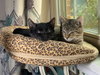 Carter and Tucker