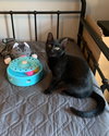Carter and Tucker