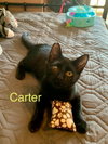 Carter and Tucker
