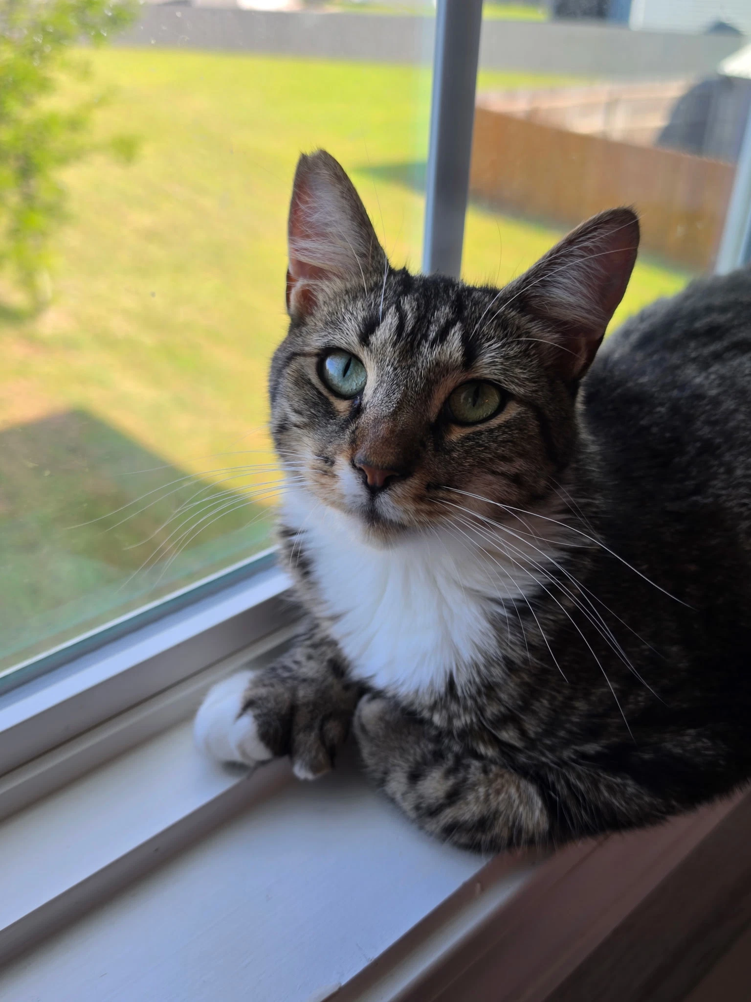 Janie