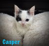 Casper