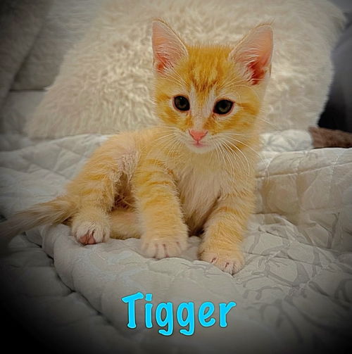 Tigger