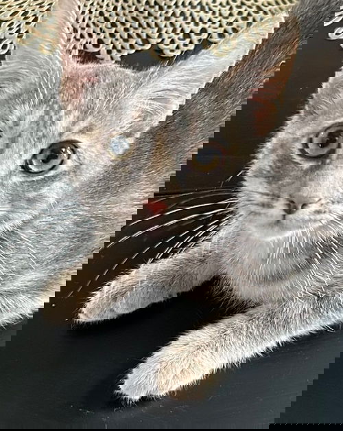 Marble