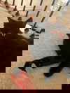 Black Panther
