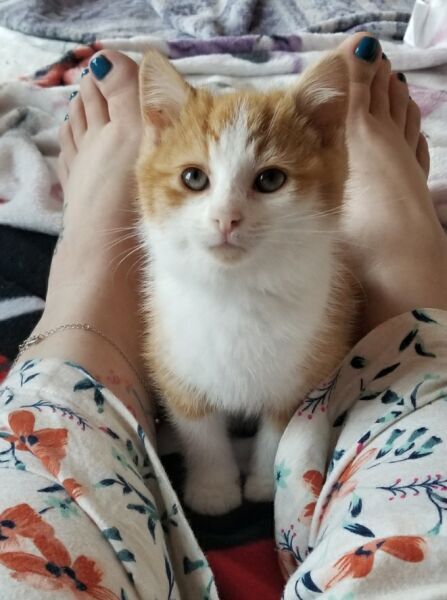 Huey