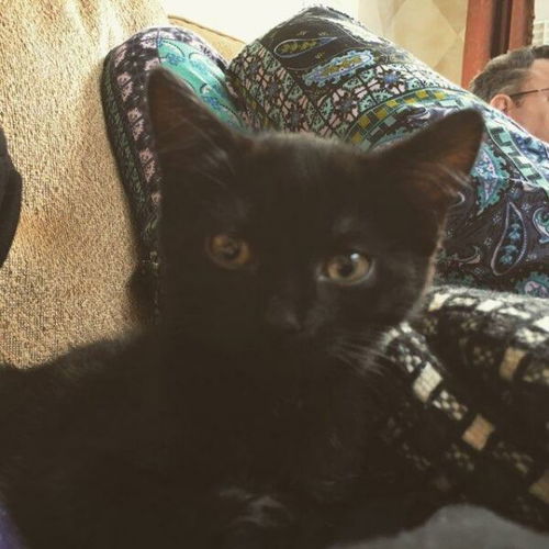 Lucy