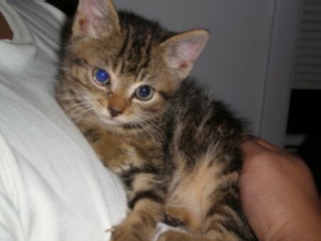 Milton
