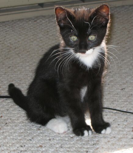 Ms. Buster